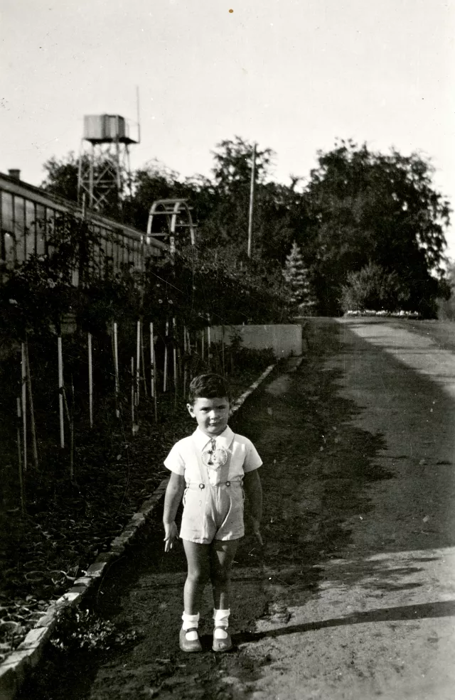 Biró Tamás