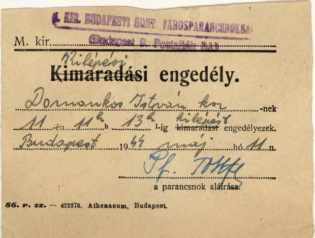 Istvan Domonkos's pass