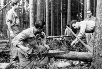 Wilhelm Steiner beim Holzschlagen in der Schweiz