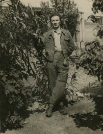 David Anavi