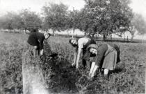 Lea Beraha during the internment to Shumen