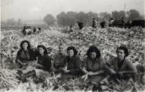Roza Anzhel in a farming brigade