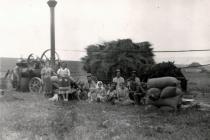 Harvest time in Kokosova