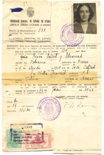 Renee Molho's official documents