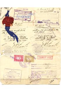 Renee Molho's traveling permit