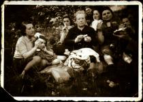 The Friedmanns on excursion