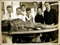 Sanyi Korosi dissecting a corpse