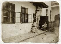 In the courtyard of Gabor Paneth's father's family house in Papa