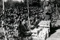 Gavriel Levi's relatives
