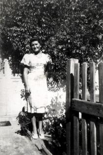 Bozsi Vajda
