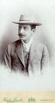 Henrik Mestitz