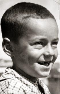 Tomi Honig
