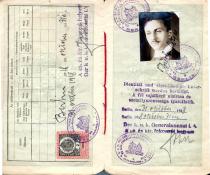 Judita Sendrei's father, Matija Bruck's passport
