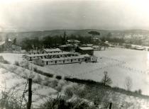 Güler Orgun's poultry farm in Polonezköy