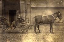Coachman at the Doubravice estate, where relatives of Helena Kovanicova lived