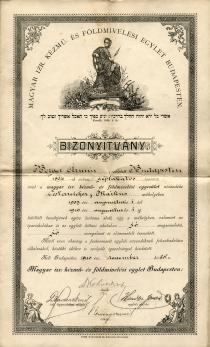 Bizonyítvány a MIKÉFE-bõl