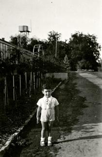 Biró Tamás