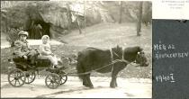 Thomas and Peter Molnar in the zoo