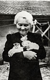 Tevan Adolfné